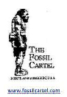 The Fossil Cartel